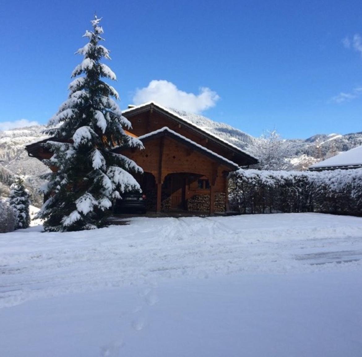 Chalet Olimon website